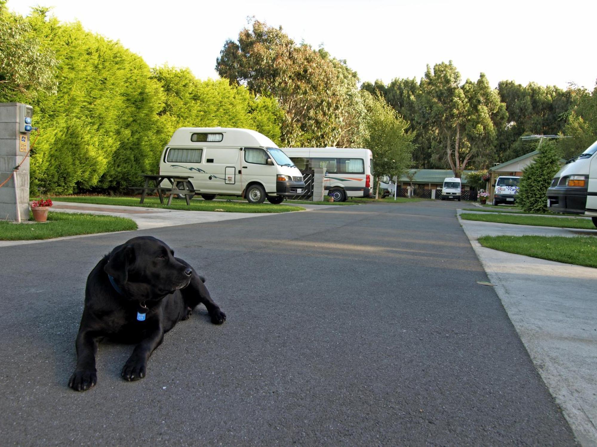 Invercargill Holiday Park & Motels Kültér fotó
